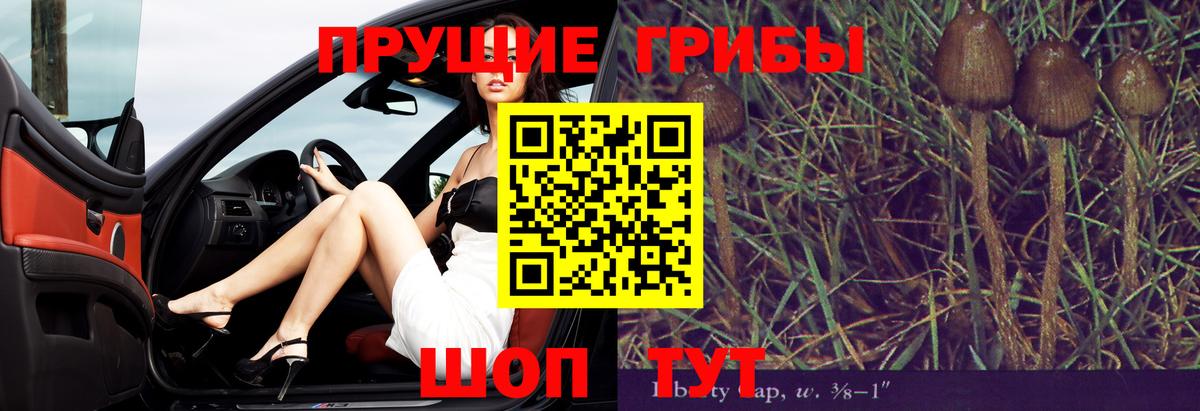 Псилоцибиновые грибы Psilocybine cubensis  Вход с VPN  Донской 